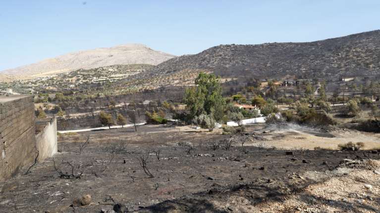 Ξεκίνησαν οι αυτοψίες στις πληγείσες περιοχές από την πυρκαγιά στην Ανατολική Αττική