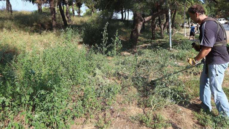 Βαριά "καμπάνα" για όσους δεν καθαρίζουν τα οικόπεδά τους - Πρόστιμα και για απλήρωτους λογαριασμούς ηλεκτρικού