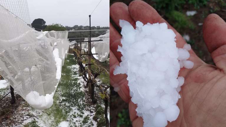 Xαλάζι στην Καβάλα: Τελειωτικό το χτύπημα στις καλλιέργειες [εικόνες]