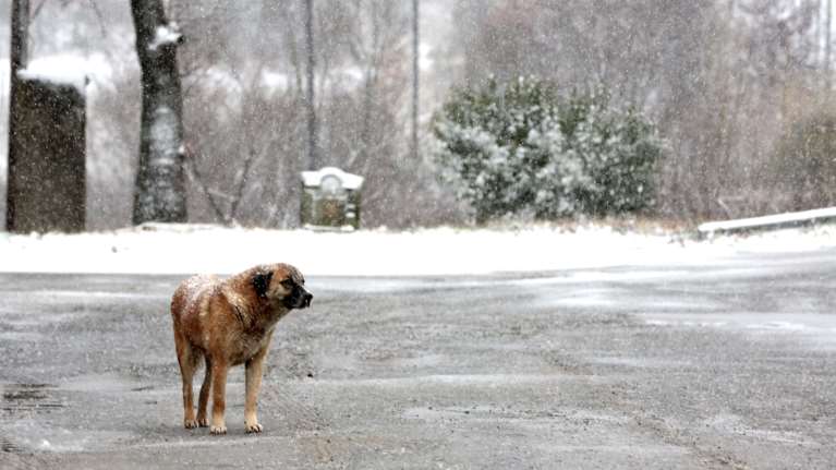 Καντερές, Κολυδάς, Καλλιάνος για την "ψυχρή εισβολή": Την Τετάρτη το αποκορύφωμά της- Από τους 28 βαθμούς Κελσίου στους 3