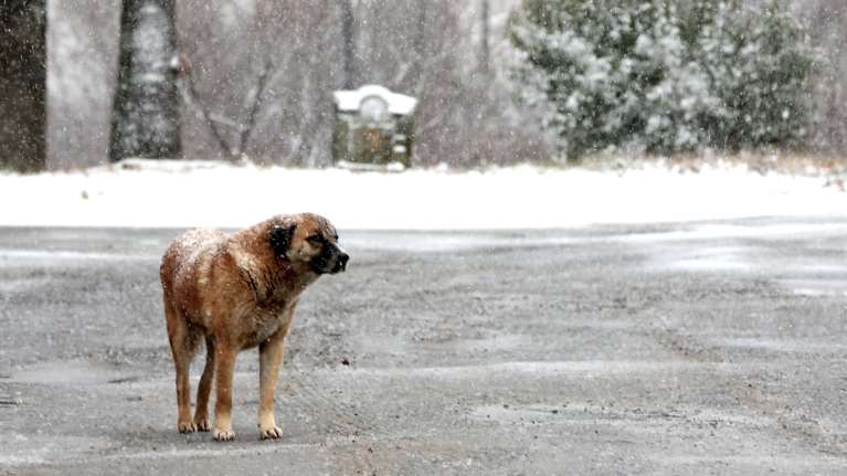Κακοκαιρία: Στην κατάψυξη και σήμερα η χώρα – Καταιγίδες στην Αττική, σε ποιες περιοχές θα χιονίσει