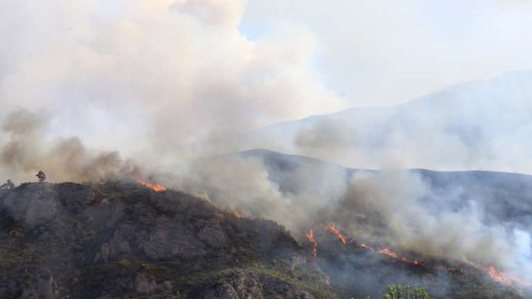 Φωτιά στον Γράμμο: Στις φλόγες δασική περιοχή σε δύσβατο σημείο - Στη &quot;μάχη&quot; πυροσβεστικό ελικόπτερο [βίντεο]