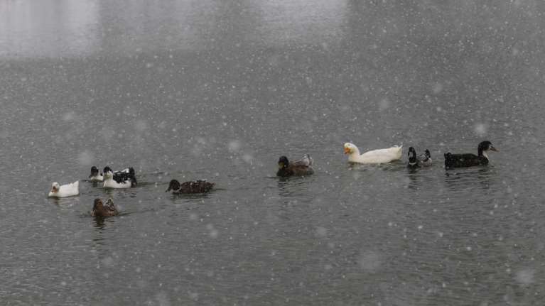 Meteo: Παγετός σήμερα το πρωί - Οι 8 περιοχές που "ξύπνησαν" με -5