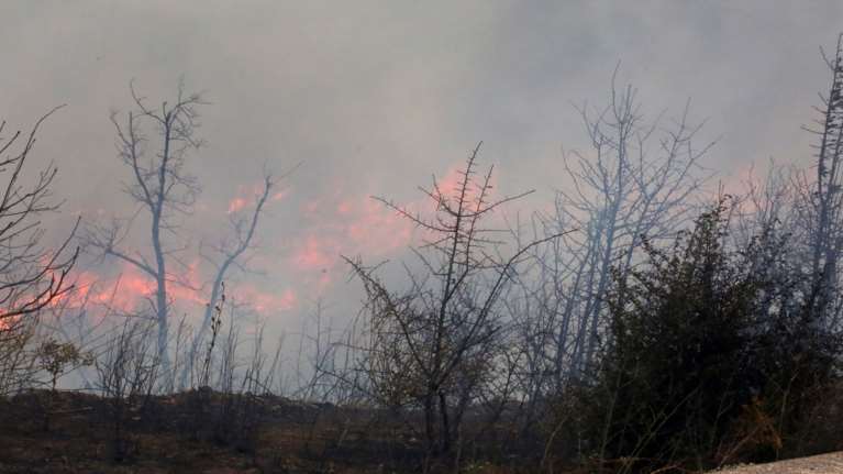 Καίει για 10η ημέρα η φωτιά στην Αλεξανδρούπολη: &quot;Απόβαση&quot;  ΑΓΕΕΘΑ και έξι υπουργών με επικεφαλής τον Βορίδη