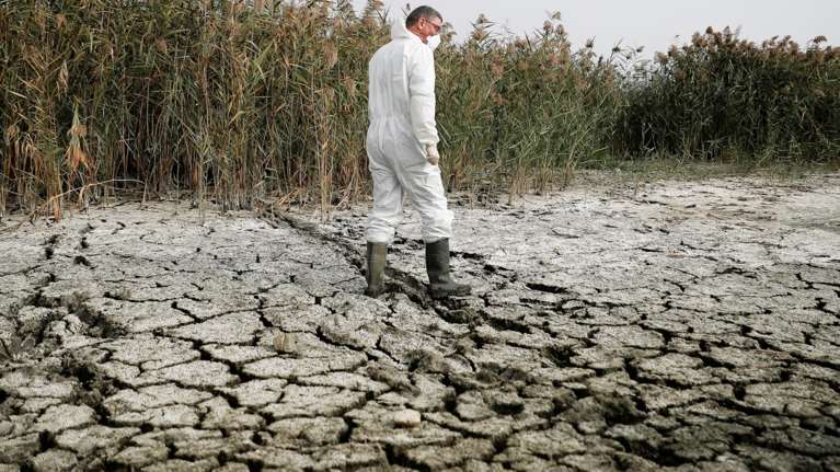 Τρόμος από την κλιματική αλλαγή: Ολόκληρες περιοχές δεν θα είναι πλέον κατοικήσιμες λόγω καύσωνα και ξηρασίας