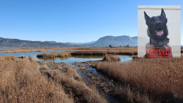 Echo: Ποιες είναι οι άλλες δύο υποθέσεις που έχει λύσει ο σκύλος που βρήκε το άψυχο κορμί του Μπάμπη