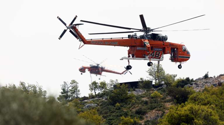 Υπό έλεγχο τέθηκε η φωτιά σε δασική έκταση στη Λέσβο