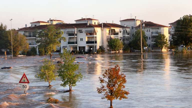 Αγαπηδάκη: Κίνδυνος από τη χρήση ακατάλληλου νερού και την επαφή με νεκρά ζώα - Τι είπε για γαστρεντερίτιδες και ελονοσία