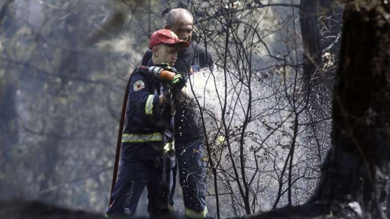 Φωτιά στο Παπίκιο Όρος: Με επίγειες δυνάμεις συνεχίζεται η επιχείρηση κατάσβεσης - Καίει για 16η μέρα