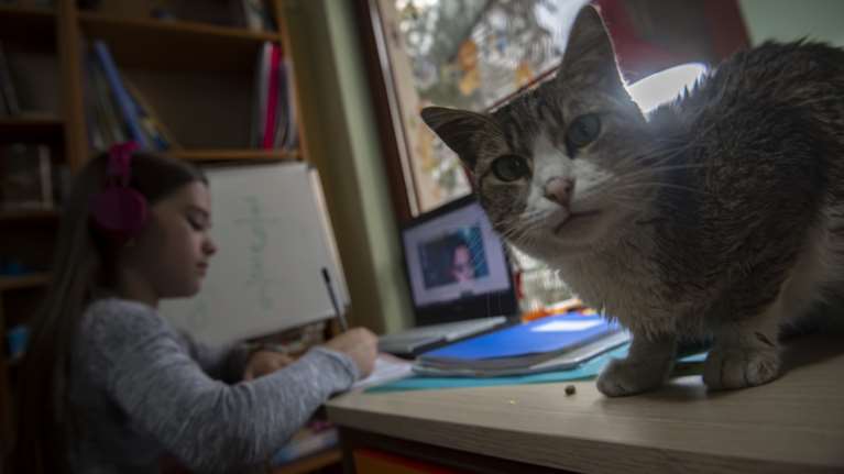 Τηλεκπαίδευση: Αγωνία για τη δεύτερη μέρα - Τα προβλήματα στις συνδέσεις ταλαιπωρούν μαθητές, δασκάλες και γονείς