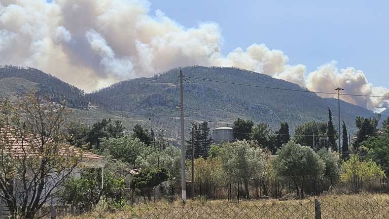 Φωτιά στον Άσσο Κορινθίας