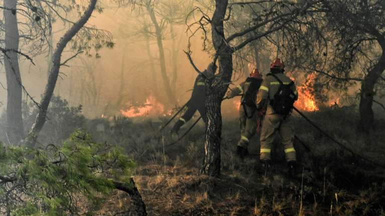 Συναγερμός για πυρκαγιές λόγω καύσωνα και ισχυρών ανέμων - 89 πτητικά μέσα πυρόσβεσης φέτος