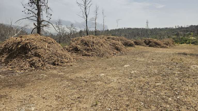Λήγει στις 30 Απριλίου η προθεσμία για τους καθαρισμούς των οικοπέδων - Τι πρέπει να κάνουν ιδιοκτήτες και ενοικιαστές