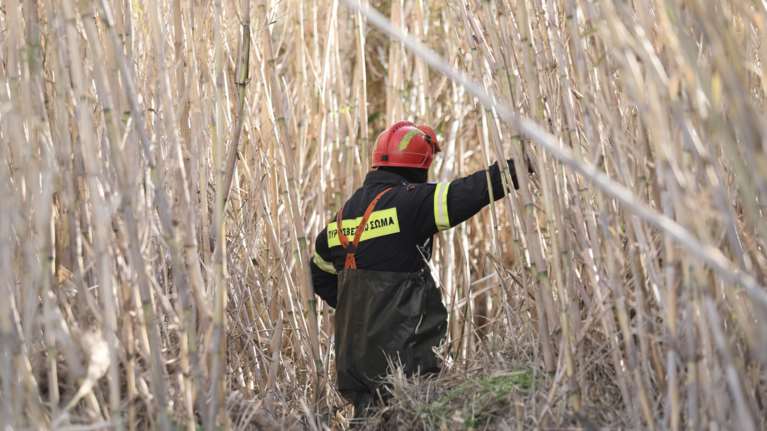 Εύβοια: Έρευνες για ζευγάρι 60χρονων περιπατητών που έχασαν τον προσανατολισμό τους σε δύσβατη περιοχή