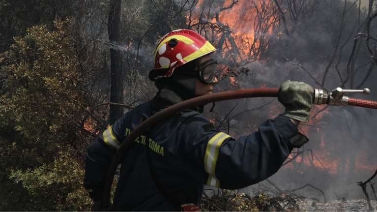 Φωτιά στον Σχίνο- Μήνυμα sms από το 112: Απομακρυνθείτε άμεσα προς Μέγαρα...