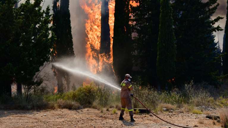 Φωτιές σε Ρόδο και Φθιώτιδα: Δύσκολη η μάχη στα πύρινα μέτωπα