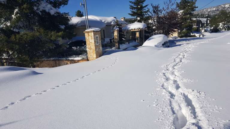 Προειδοποίηση Μαρουσάκη: Χιονιάς προ των πυλών - Ποιες περιοχές της Αττικής θα ντυθούν στα λευκά [χάρτες]
