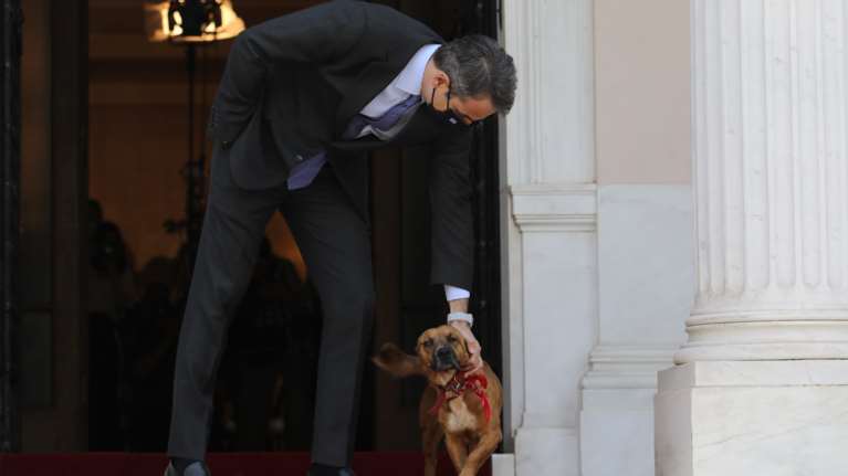 Ανάρτηση Μητσοτάκη για την φροντίδα των ζώων εν μέσω καύσωνα: &quot;Δεν ξεχνάμε τους τετράποδους φίλους μας&quot;