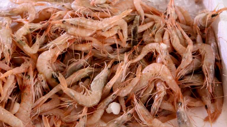 Ο ΕΦΕΤ ανακαλεί συσκευασμένες γαρίδες: Περιέχουν θειώδη πάνω από το επιτρεπτό όριο