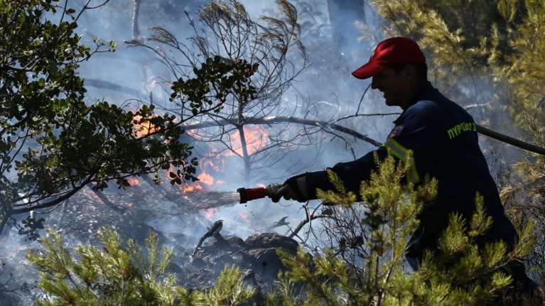 Συναγερμός στην Πυροσβεστική - Νέα πυρκαγιά στους πρόποδες της Πάρνηθας