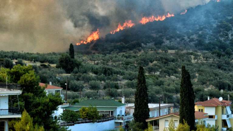 Σε εξέλιξη η φωτιά στην Κορινθία - Εκκενώθηκε το χωριό Ρυτό - Πύρινα μέτωπα σε Επίδαυρο, Εύβοια και Χαλκιδική [Εικόνες - Βίντεο]