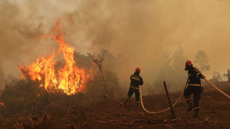 Ανατολική Μάνη: Υπό μερικό έλεγχο φωτιά στην περιοχή Δρυάλια Λακωνίας