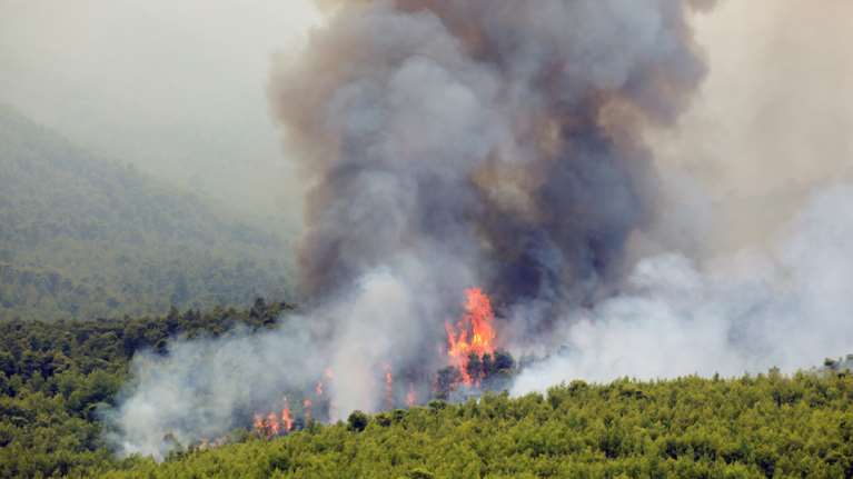 Φωτιά σε δασική έκταση στην Ηλεία: Μεγάλη κινητοποίηση με 4 αεροπλάνα