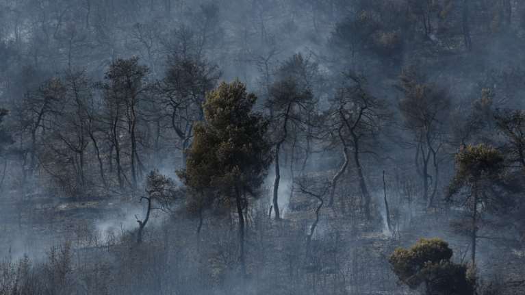 Φωτιά στις Κεχριές: Σε κατάσταση έκτακτης ανάγκης πέντε περιοχές της Κορινθίας [Εικόνες-Βίντεο]