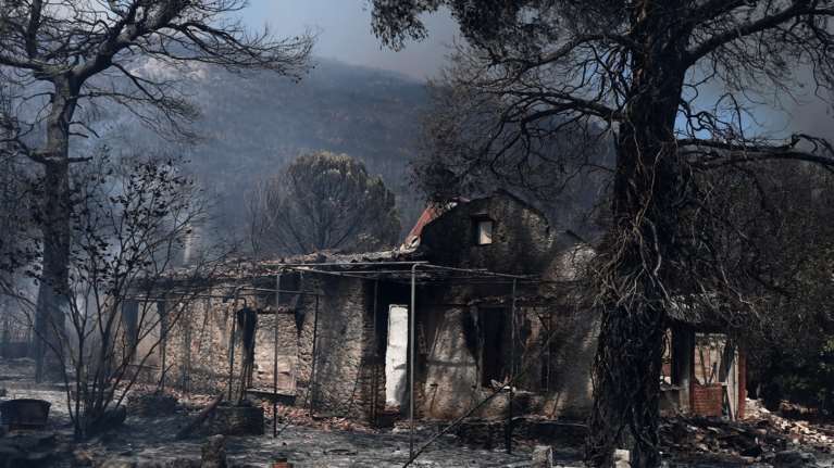 Αrogi.gov.gr: Ξεκινούν οι πρώτες πληρωμές στους πυρόπληκτους - Πάνω από 550 αιτήσεις την πρώτη μέρα