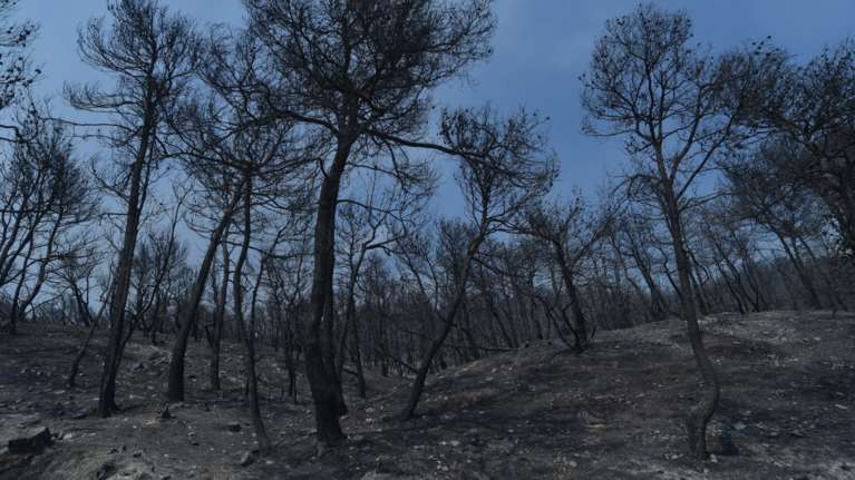 Βόρεια Εύβοια: Οι 10 πυλώνες του σχεδίου ανασυγκρότησης - Το χρονοδιάγραμμα Μπένου