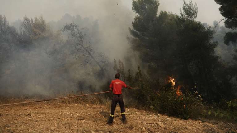 Συναγερμός στην Πυροσβεστική: Φωτιά στη Φυλή [εικόνες]