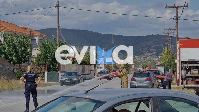 Τροχαίο ατύχημα στην Εύβοια: Αγροτικό συγκρούστηκε με ΙΧ και κατέληξε σε χωράφι - Γέμισε με λάδια ο δρόμος [εικόνες]