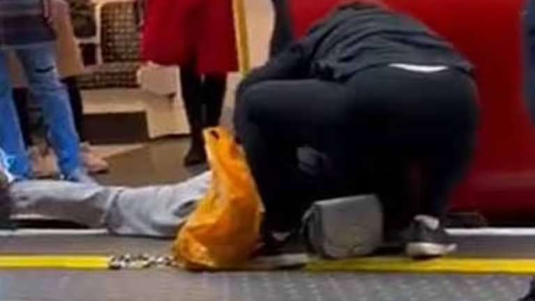 Λονδίνο: Καρέ - καρέ η  διάσωση σκύλου που έπεσε στο κενό μεταξύ συρμού και αποβάθρας [Συγκλονιστικό βίντεο - εικόνες]