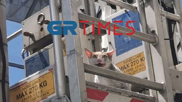 Φωτιά σε διαμέρισμα της Καλαμαριάς: Η Πυροσβεστική διέσωσε γάτα με το γερανοφόρο [βίντεο]