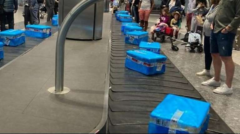 Χαμός σε πτήση από Κύπρο: Αντί για αποσκευές πήραν κιβώτια με... ψάρια [βίντεο]