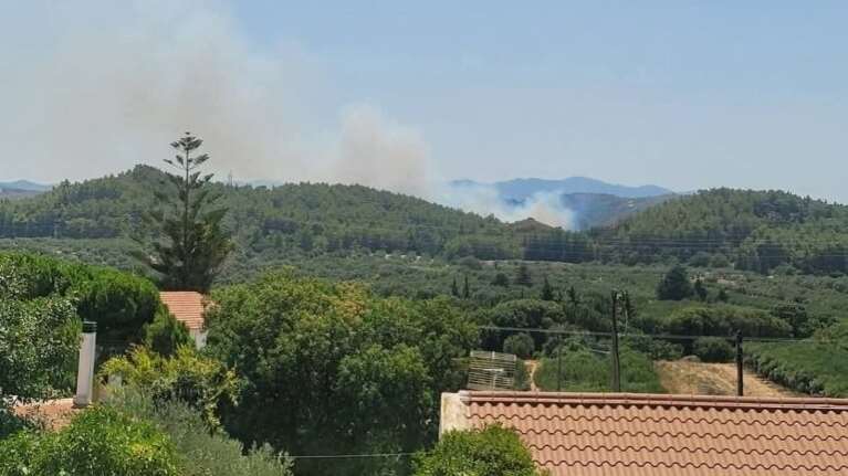 Συναγερμός στη Ρόδο: Μεγάλη φωτιά μεταξύ Σορωνής και Φανών -  Κοντά στο διάσημο δάσος με τις Πεταλούδες
