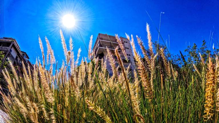 Meteo: Το 2024 είχε και το θερμότερο καλοκαίρι και το θερμότερο χειμώνα στην Ελλάδα - Τα ρεκόρ της χρονιάς που πέρασε