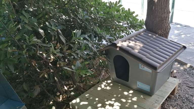 Δήμος Αθηναίων: Νέο πρόγραμμα για τα αδέσποτα – Τοποθετούνται σπιτάκια για γάτες σε γειτονιές της πόλης [εικόνες]