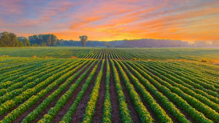 Υιοθετώντας ένα βιώσιμο τρόπο διατροφής με φυτικά προϊόντα κάνω καλό στον εαυτό μου και στο περιβάλλον