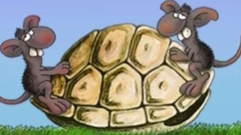 Η "καλημέρα" του Αρκά με ένα... παιχνίδι - Τα δύο ποντίκια και η χελώνα [εικόνα]