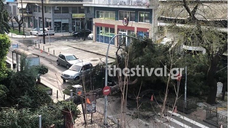 δέντρο