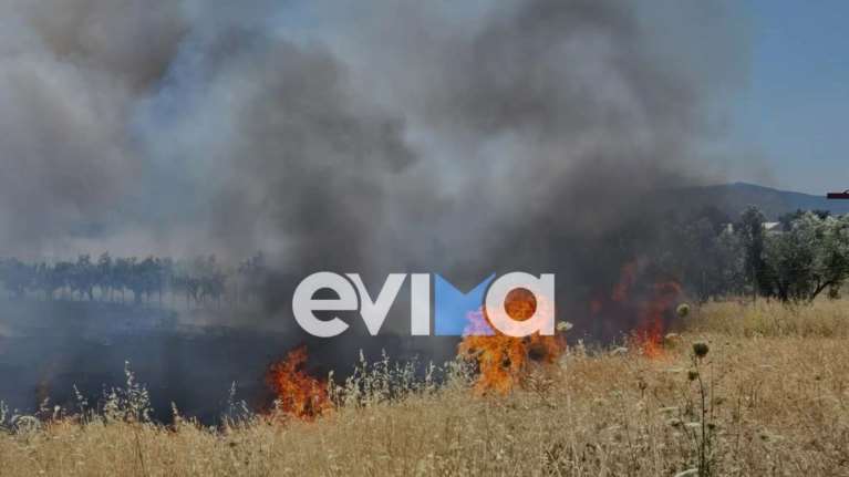 Φωτιά στη Ριτσώνα της Εύβοιας - Επιχειρούν ισχυρές δυνάμεις