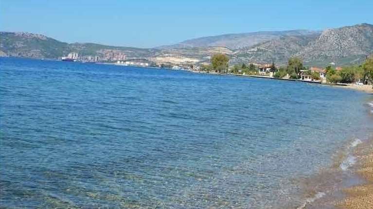 Μαγνησία: Φίδι τσίμπησε 40χρονη ενώ κολυμπούσε σε παραλία της Αγριάς