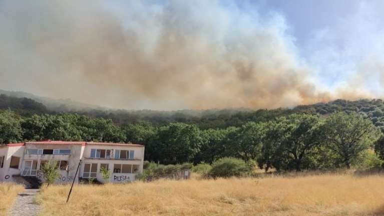Φωτιά σε δασική έκταση στην Καρδίτσα - Σηκώθηκαν 6 εναέρια