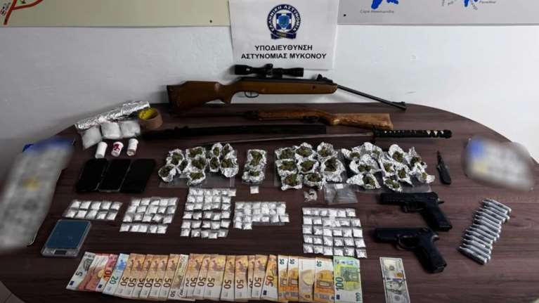 Μύκονος: Η τετράποδη "Κάγια" μύρισε τα ναρκωτικά που θα γέμιζαν το νησί