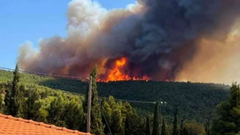 Νέα μεγάλη φωτιά στα Βίλια: Εκκενώνονται μαζί με άλλους δύο οικισμούς - Άνεμοι έως 8 μποφόρ μέσα σε δάσος