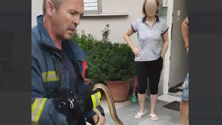 Λάρισα: Πυροσβέστης έπιασε με τα χέρια του φίδι που μπήκε σε σπίτι [βίντεο]