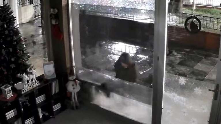 Ανατριχιαστική καταγγελία στη Νέα Φιλαδέλφεια: Άνδρας κυνηγάει και αρπάζει αδέσποτες γάτες