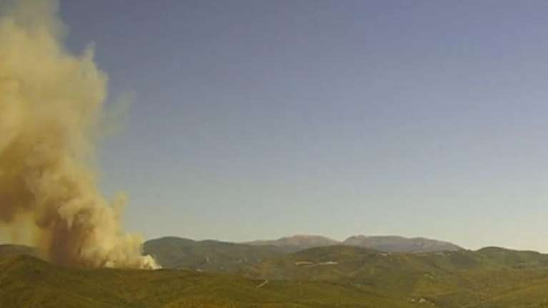 Φωτιά στα Φάρσαλα: Καίει δασική έκταση στο Τσικράκι - Επιτόπου επίγειες και εναέριες δυνάμεις