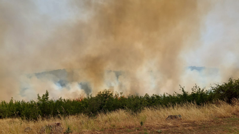 Φωτιά στην Πέλλα: Συναγερμός στην Πυροσβεστική - Στη μάχη πέντε αεροσκάφη και 56 πυροσβέστες με 13 οχήματα [βίντεο]